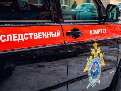 В Ленобласти парня подозревают в убийстве матери и трехлетней сестры - bloknot.ru - Ленинградская обл. - Бугры - Следственный Комитет
