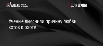 Ученые выяснили причину любви котов к охоте - ivbg.ru - Россия - Украина - Европа