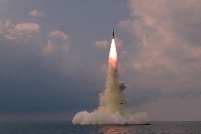Ким Ченын - Северная Корея подтвердила запуск новой баллистической ракеты с подводной лодки - lenta.ru - КНДР - Корея