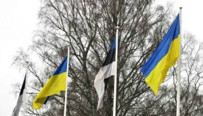 Мэри Акопян - Эстония решила передать Украине опыт усиления устойчивости государства - lenta.ua - США - Украина - Эстония - Кууск