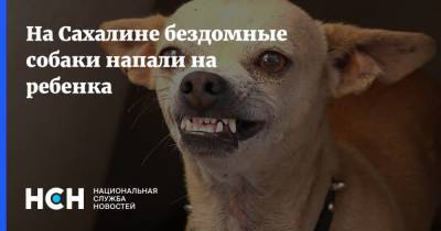 На Сахалине бездомные собаки напали на ребенка - nsn.fm - Казань - Долинск - Сахалин