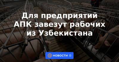 Для предприятий АПК завезут рабочих из Узбекистана - news.mail.ru - Узбекистан