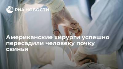 Американские хирурги успешно пересадили человеку почку генно-модифицированной свиньи - ria.ru - США - Вашингтон - New York - Нью-Йорк - Нью-Йорк