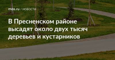 Петр Бирюков - В Пресненском районе высадят около двух тысяч деревьев и кустарников - mos.ru - Москва - Благоустройство