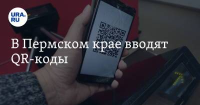 В Пермском крае вводят QR-коды - ura.news - Пермский край