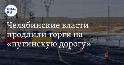 Владимир Путин - Челябинские власти продлили торги на «путинскую дорогу» - ura.news - Москва - Россия - Челябинская обл. - Уфа - Париж - Джабык