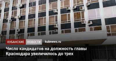 Андрей Назаров - Число кандидатов на должность главы Краснодара увеличилось до трех - kubnews.ru - Краснодарский край - Краснодар - Новошахтинск