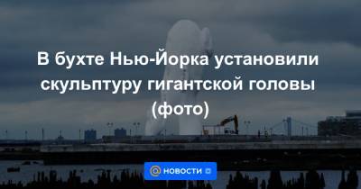 В бухте Нью-Йорка установили скульптуру гигантской головы (фото) - news.mail.ru - США - Нью-Йорк - Нью-Йорк - Джерси - Reuters