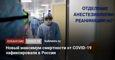 Новый максимум смертности от COVID-19 зафиксировали в России - kubnews.ru - Москва - Россия - Санкт-Петербург - Краснодарский край - Московская обл.