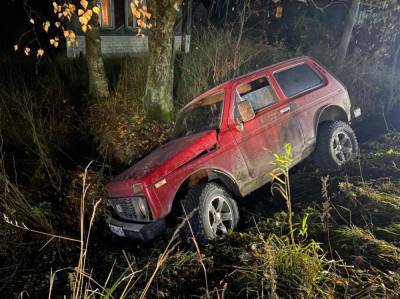 В Карелии проверят освещенность дороги, на которой водитель сбил 13-летнего подростка - gubdaily.ru - Петрозаводск - район Олонецкий - республика Карелия