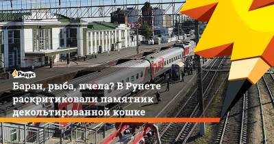 Баран, рыба, пчела? В Рунете раскритиковали памятник декольтированной кошке - ridus.ru - Россия
