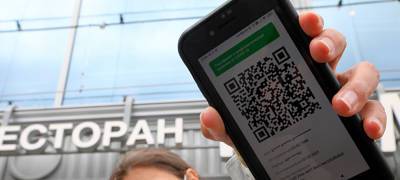 Денис Базанков: Проверять достоверность QR-кодов никто, похоже, не собирается - stolicaonego.ru - Россия
