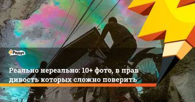 Реально нереально: 10+ фото, вправдивость которых сложно поверить - ridus.ru