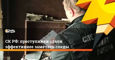 СК РФ: преступники стали эффективнее заметать следы - ridus.ru - Россия