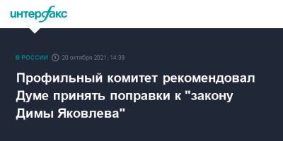 Василий Пискарев - Дмитрий Яковлев - Профильный комитет рекомендовал Думе принять поправки к "закону Димы Яковлева" - interfax.ru - Москва - Россия