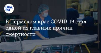 Дмитрий Махонин - В Пермском крае COVID-19 стал одной из главных причин смертности - ura.news - Пермский край