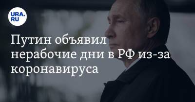 Владимир Путин - Татьяна Голикова - Путин объявил нерабочие дни в РФ из-за коронавируса. Видео - ura.news - Россия