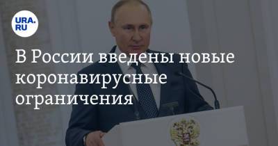 Владимир Путин - Татьяна Голикова - В России введены новые коронавирусные ограничения. Список - ura.news - Россия