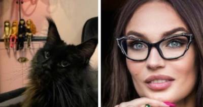 Алена Водонаева - Алена Водонаева заявила, что купит квартиру для кота в ипотеку - ren.tv - Россия - Геленджик