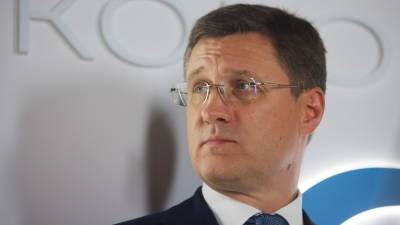 Владимир Путин - Александр Новак - Новак назвал напряжённой ситуацию на энергетическом рынке - russian.rt.com - Россия
