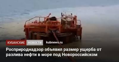 Росприроднадзор объявил размер ущерба от разлива нефти в море под Новороссийском - kubnews.ru - Краснодарский край - Новороссийск - Экология
