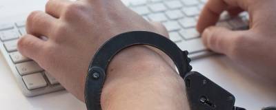 В Воронеже хакер подозревается в афере на 10 млн рублей с покупкой медного кабеля - runews24.ru - Воронеж