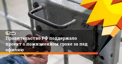 Павел Крашенинников - Андрей Турчак - Александр Хинштейн - Правительство РФ поддержало проект опожизненном сроке запедофилию - ridus.ru - Россия
