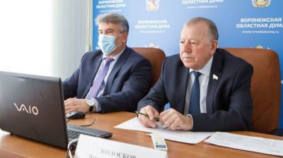 Депутаты Воронежской облдумы обсудили приоритетные направления финансирования здравоохранения - vestivrn.ru - Воронеж