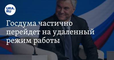 Владимир Путин - Вячеслав Володин - Госдума частично перейдет на удаленный режим работы - ura.news - Россия