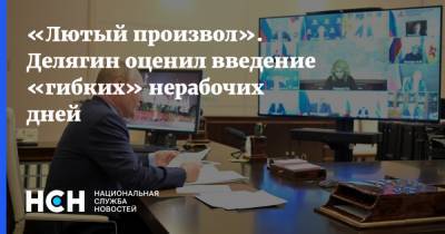 Владимир Путин - Михаил Делягин - «Лютый произвол». Делягин оценил введение «гибких» нерабочих дней - nsn.fm - Россия