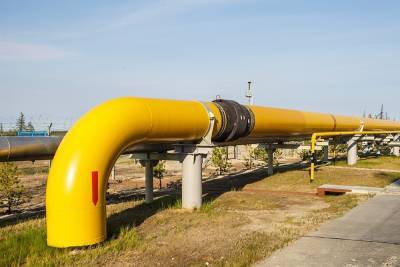 Юрий Витренко - Украина решила отказаться от импорта газа в течение пяти лет - tvc.ru - Украина - Киев