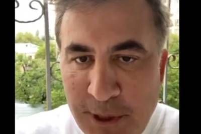 Михаил Саакашвили - Елизавета Ясько - Ясько рассказала, что Саакашвили планировал прилететь в Грузию на самолете - mk.ru - Украина - Грузия