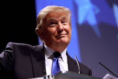 Дональд Трамп - Трамп создает собственную медиагруппу и социальную сеть - aif.ru - США
