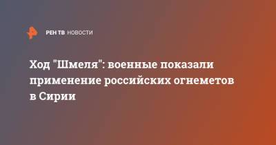 Ход "Шмеля": военные показали применение российских огнеметов в Сирии - ren.tv - Россия - Сирия