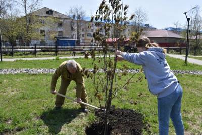В Поронайском районе завершили сезон озеленения - sakhalin.info