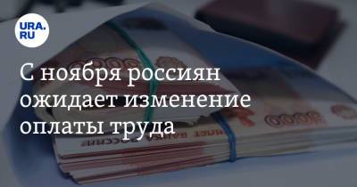 Андрей Андреев - С ноября россиян ожидает изменение оплаты труда - ura.news - Россия