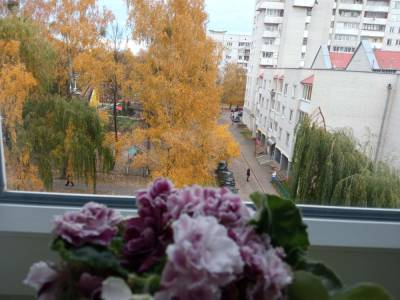 В субботу начнется арктическое вторжение – резко похолодает - grodnonews.by - Белоруссия - Финляндия