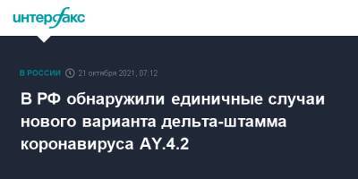 Камиль Хафизов - В РФ обнаружили единичные случаи нового варианта дельта-штамма коронавируса AY.4.2 - interfax.ru - Москва - Россия