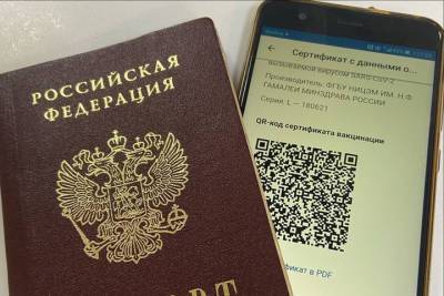 Вместо QR-кода в театры в Омске можно будет пройти и по бумажной справке о вакцинации - omsk.mk.ru - Омск - Омская обл.