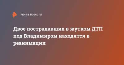 Двое пострадавших в жутком ДТП под Владимиром находятся в реанимации - ren.tv - Владимирская обл.