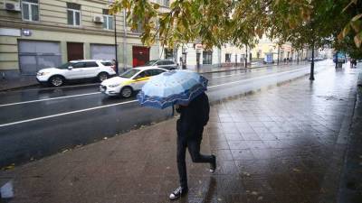 Евгений Тишковец - Десять процентов месячной нормы осадков выпало за прошедшие сутки в Москве - vm.ru - Москва