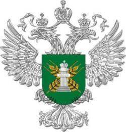 Компании Ростовской области подозревают в распространении африканской чумы свиней - dontr.ru - Ростов-На-Дону - Ростовская обл.
