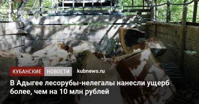 В Адыгее лесорубы-нелегалы нанесли ущерб более, чем на 10 млн рублей - kubnews.ru - Россия - респ. Адыгея