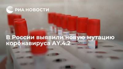 Камиль Хафизов - Эпидемиолог Роспотребнадзора Хафизов: в России выявили новый вариант коронавируса AY.4.2 - ria.ru - Москва - Россия