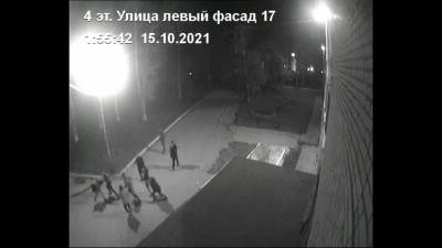 В НГПУ опровергли драку уроженцев Кавказа со студентами из-за девушек - sib.fm