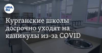 Курганские школы досрочно уходят на каникулы из-за COVID - ura.news - Курганская обл.