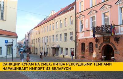 Литва рекордными темпами наращивает импорт из Беларуси - ont.by - Белоруссия - Литва - Вильнюс