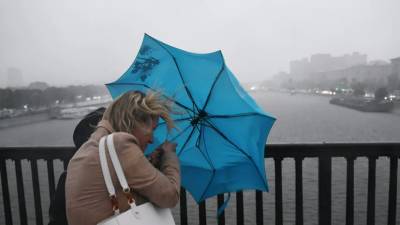 Евгений Тишковец - Тишковец предупредил о штормовом ветре в Москве 21 октября - russian.rt.com - Москва - Россия