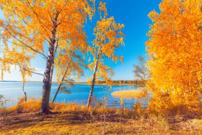 В Украине наступила настоящая «золотая осень»: сколько продлится «сказочная» погода - lenta.ua - Украина - Киев