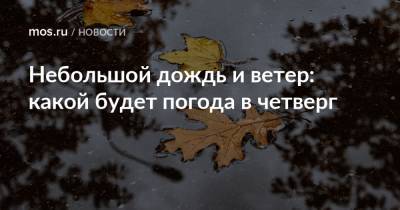 Небольшой дождь и ветер: какой будет погода в четверг - mos.ru - Москва
